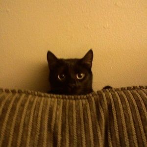 Meet your Posher, Shawn